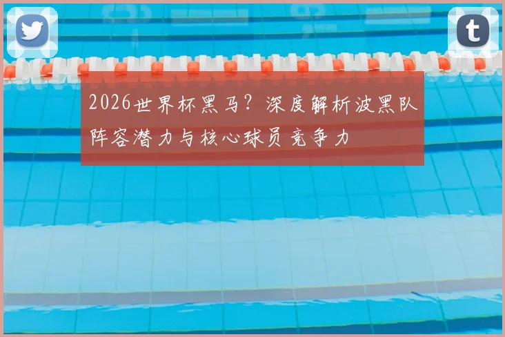 2026世界杯黑马?深度解析波黑队阵容潜力与核心球员竞争力