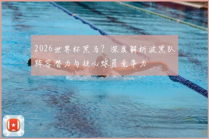 2026世界杯黑马？深度解析波黑队阵容潜力与核心球员竞争力